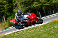 Brno;event-digital-images;motorbikes;no-limits;peter-wileman-photography;trackday;trackday-digital-images